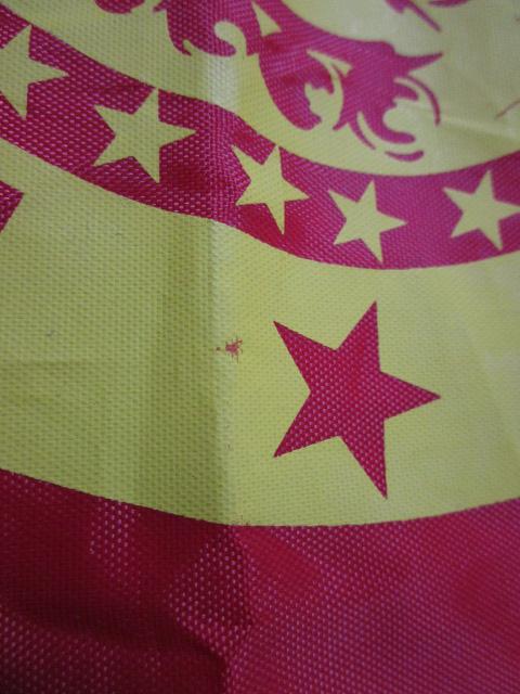 HYSTERIC GLAMOUR MINI qXebN~j WORLD TOUR 2008 obO ̎ʐ^2