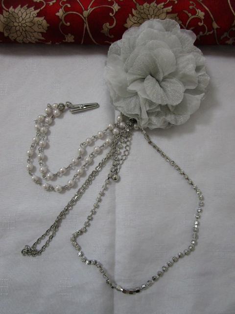 CXg[&p[`F[t RT[W u[` O[ ̎ʐ^1