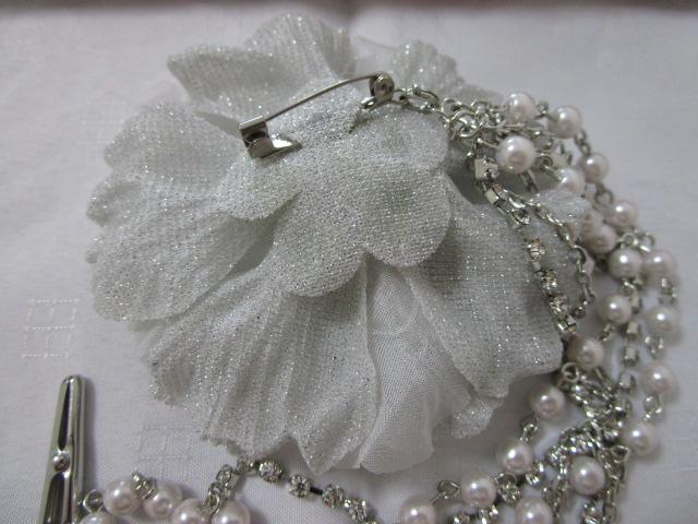 CXg[&p[`F[t RT[W u[` O[ ̎ʐ^8