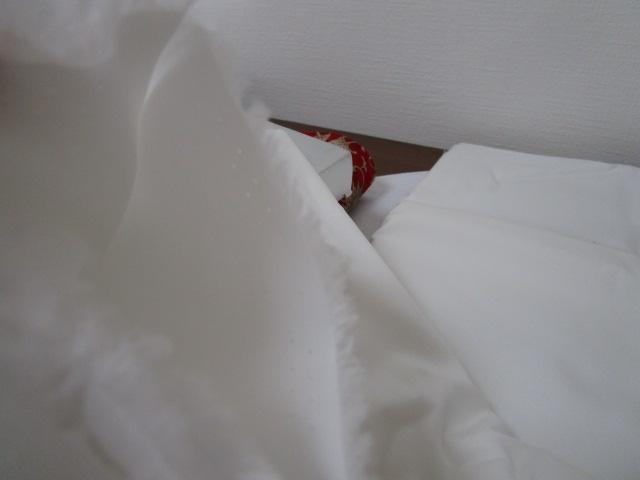 p Vcn It Rbg100% ۑi ̎ʐ^6