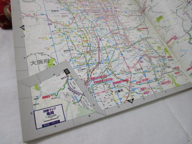 ���s�O�g�E�O�� '99 �}�b�v�� �̎ʐ^7