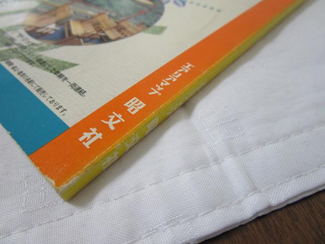 ���s�O�g�E�O�� '99 �}�b�v�� �̎ʐ^9