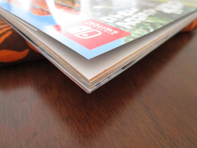 t^|X^[t Nintendo DREAM 2025N3 ̎ʐ^3