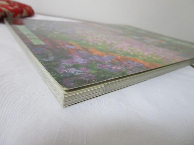 �I���Z�[���p�� �R�l�b�T���X�E�f�E�U�[��(�|�p�̒m��) ���{��� �K�C�h�u�b�N �̎ʐ^6