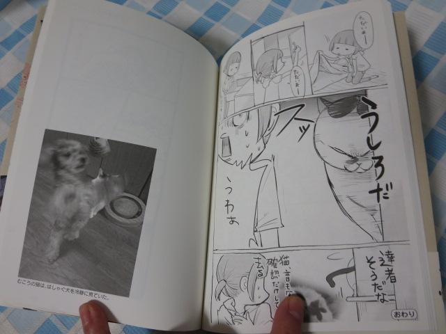 ���ƔL�ǂ����������Ă�Ɩ������̂��� 1-2���Z�b�g ���C�hKC ���{ �Ђŋg �ѕt�� �̎ʐ^4