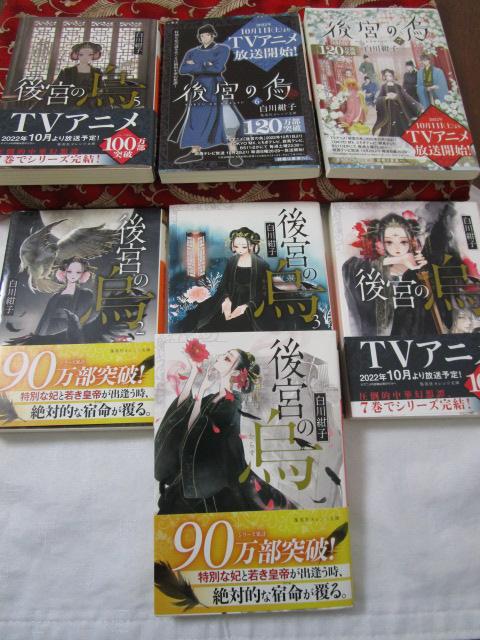 {̒ ɖ{ S7Zbg 썮q ̎ʐ^1