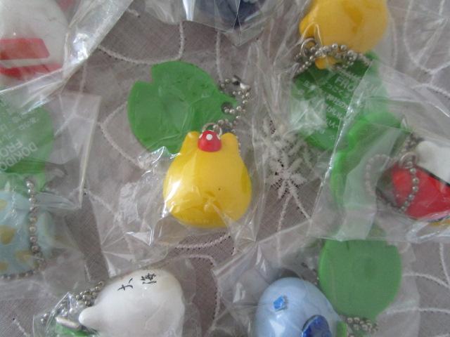 tbOX^C RNV vol.11 (10Zbg) uFS089 RAINBOW FROGv̂݊Jς [tbg4 ̎ʐ^8