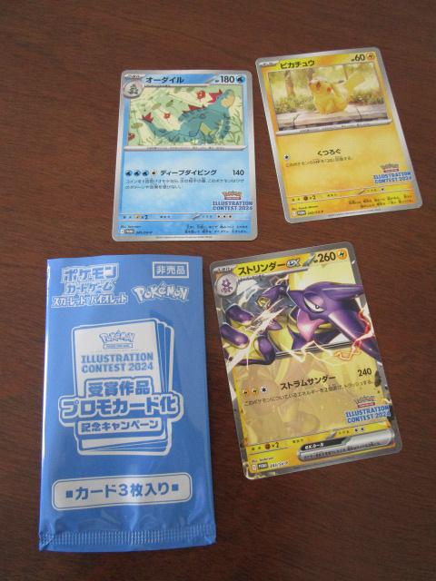 ܍ivJ[h CXg[VReXg2024 Jς 3Zbg I[_C sJ`E Xg_[ex ̎ʐ^1