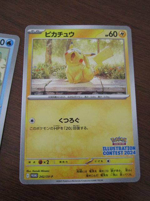 ܍ivJ[h CXg[VReXg2024 Jς 3Zbg I[_C sJ`E Xg_[ex ̎ʐ^2