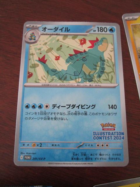 ܍ivJ[h CXg[VReXg2024 Jς 3Zbg I[_C sJ`E Xg_[ex ̎ʐ^3