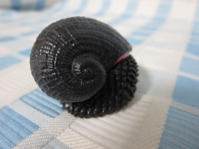 ERtl^}KC(XP) lC`[eNjJ[MONO PLUS [C }Olbg ̎ʐ^2