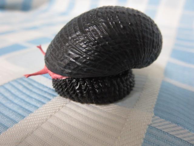 ERtl^}KC(XP) lC`[eNjJ[MONO PLUS [C }Olbg ̎ʐ^3