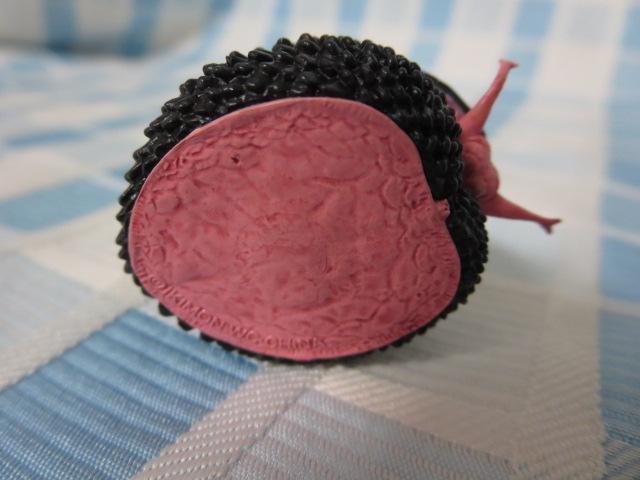 ERtl^}KC(XP) lC`[eNjJ[MONO PLUS [C }Olbg ̎ʐ^4