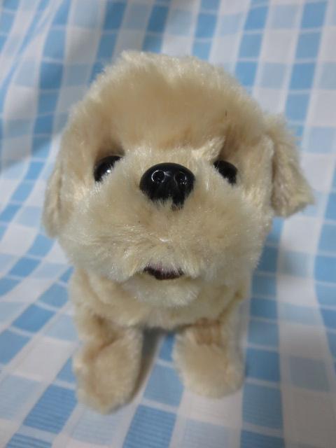 �C���� �s�b�R���[�l ���g���o�[ �d�r�œ����ʂ������ �̎ʐ^2