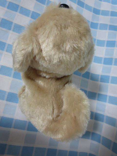 �C���� �s�b�R���[�l ���g���o�[ �d�r�œ����ʂ������ �̎ʐ^3