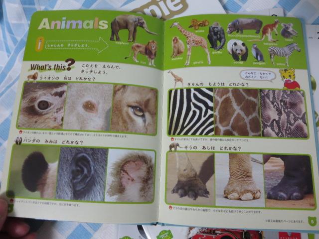 �X�e�b�s�[�y��&�u�b�N���낢��Z�b�g ���ǂ������� ���Ă��� �C���O���b�V�� �̎ʐ^4