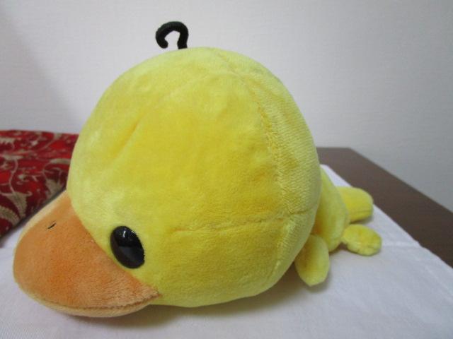 �����̂͂������B �Q���ׂ� �ʂ������ 21cm �̎ʐ^1