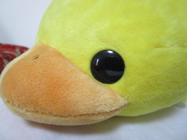 �����̂͂������B �Q���ׂ� �ʂ������ 21cm �̎ʐ^2