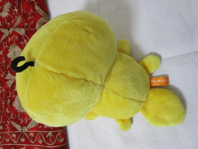 �����̂͂������B �Q���ׂ� �ʂ������ 21cm �̎ʐ^3