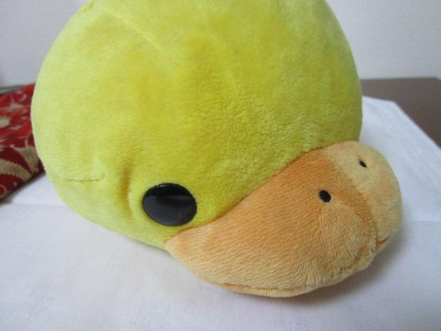 �����̂͂������B �Q���ׂ� �ʂ������ 21cm �̎ʐ^9