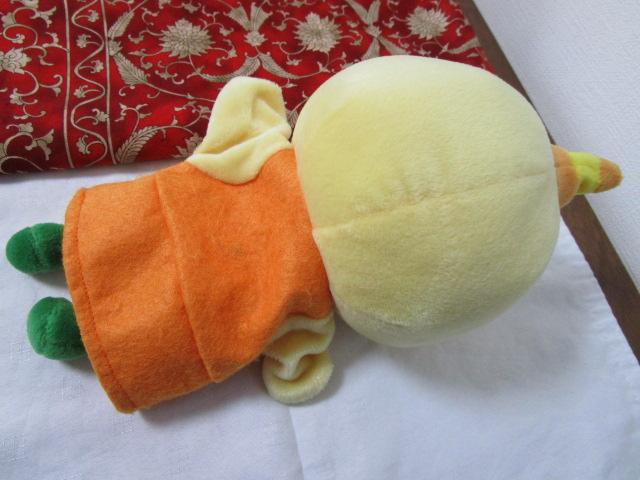 �������� �L�X�P �ʂ�����݃p�y�b�g 31cm �̎ʐ^4