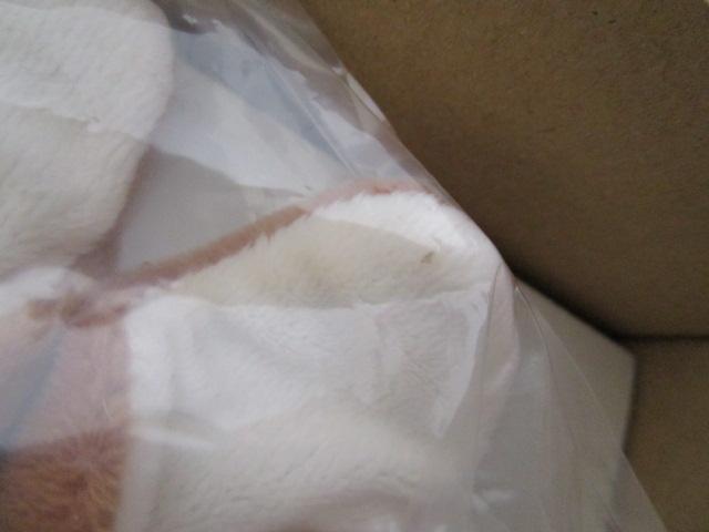 �������N�L���[�s�[25cm 2022�N ���I�i �̎ʐ^2