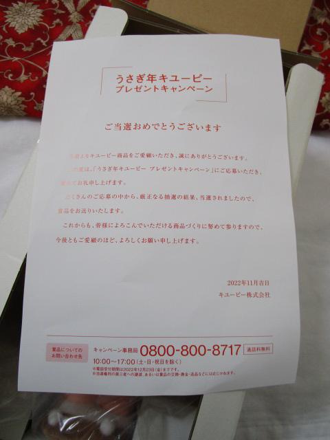 �������N�L���[�s�[25cm 2022�N ���I�i �̎ʐ^5