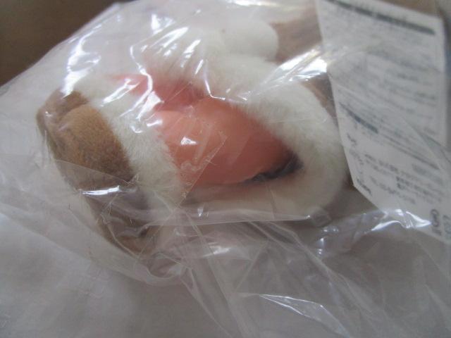 �������N�L���[�s�[25cm 2022�N ���I�i �̎ʐ^7