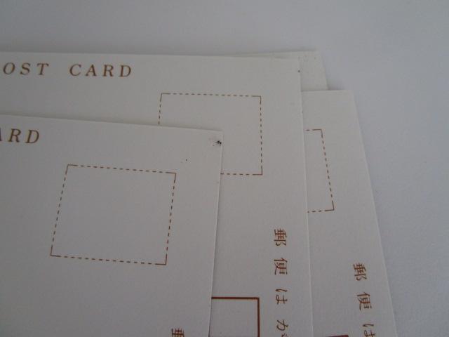 g S㒹ÕQ G͂ 6 ̎ʐ^8