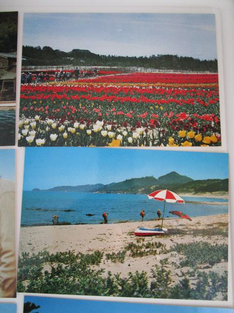 g O㔼߂ G͂ 9 ̎ʐ^2