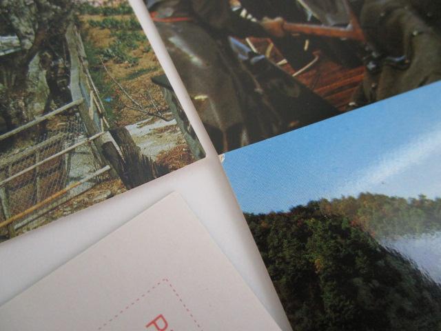 g O㔼߂ G͂ 9 ̎ʐ^5