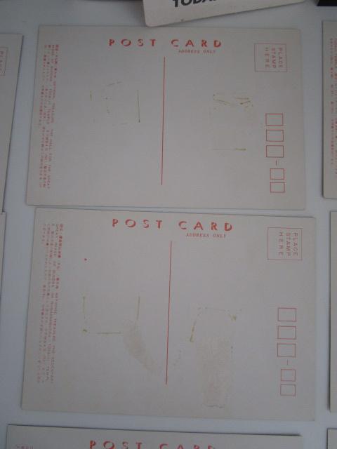 g ،@{R 厛 G͂ 16 ̎ʐ^5