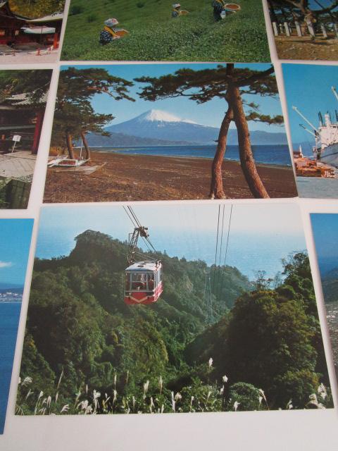 g É̗ {Ev\REoCEO G͂ 14 ̎ʐ^2