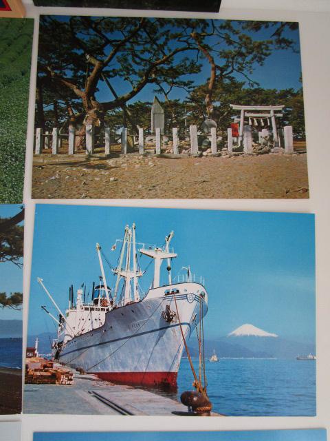 g É̗ {Ev\REoCEO G͂ 14 ̎ʐ^4