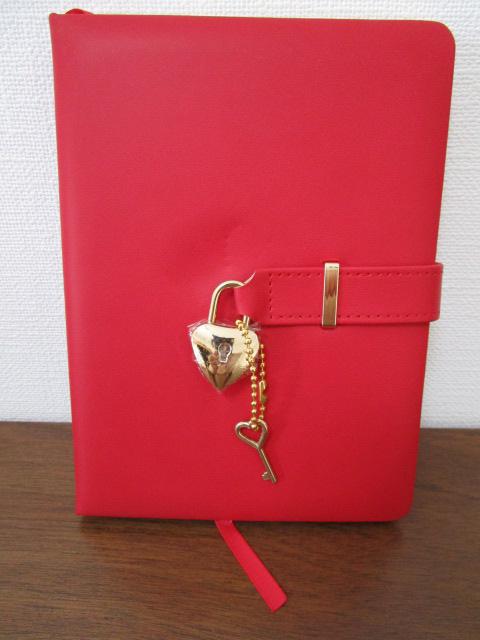 tCO^CK[ Dagbog Diary t_CA[  gp ̎ʐ^1