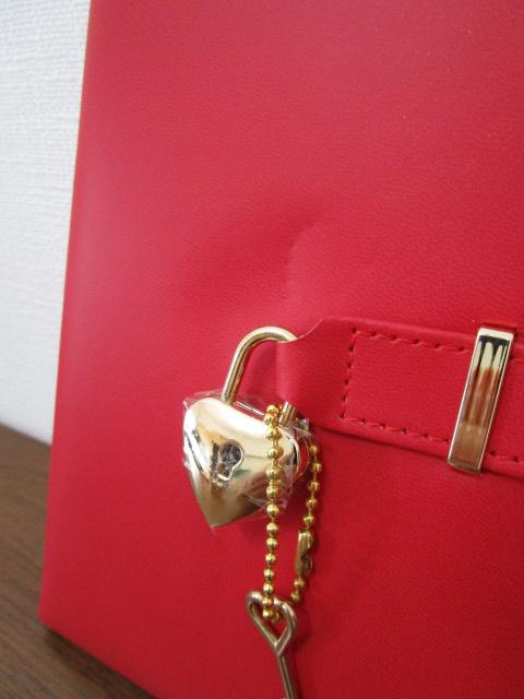 tCO^CK[ Dagbog Diary t_CA[  gp ̎ʐ^2