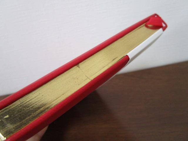 tCO^CK[ Dagbog Diary t_CA[  gp ̎ʐ^5