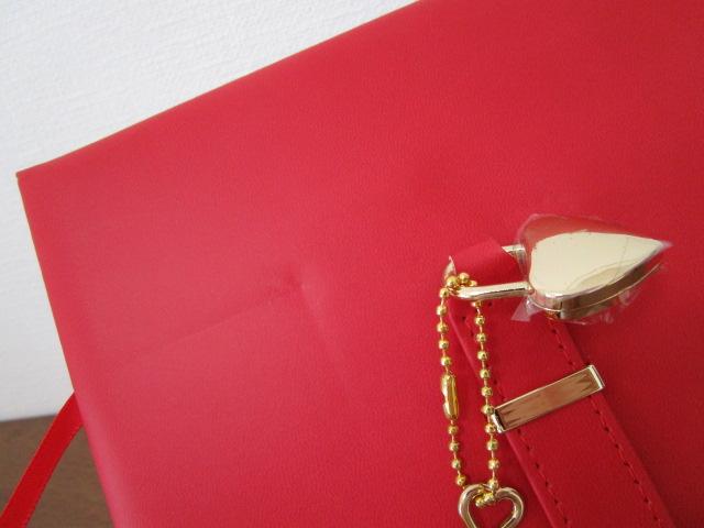 tCO^CK[ Dagbog Diary t_CA[  gp ̎ʐ^7