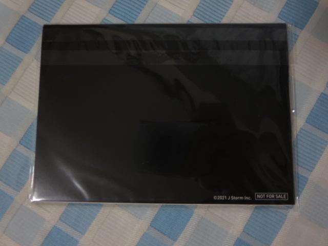  5~20film Record of Memories ? ̎ʐ^4