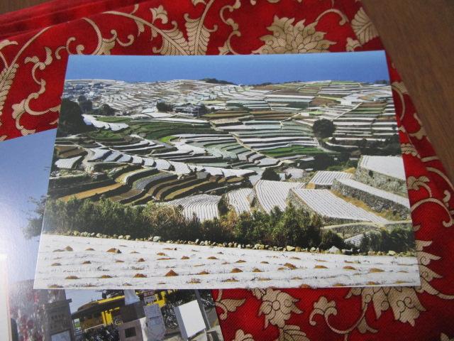 Unzen City _s |XgJ[h 12Zbg ̎ʐ^5