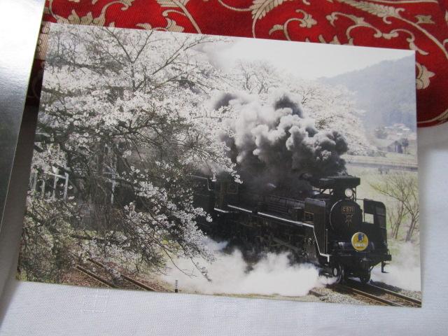 |XgJ[h2Zbg SLu܂v C571@75NLO ̎ʐ^3