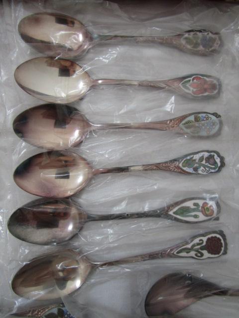  ̃Xv[̉ K[h eB[^CEFA { Jg[46qZbg 24{ E.P.N.S m tZbg gp ̎ʐ^2