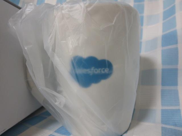 Salesforce mxeB}OJbv Astro u[ ̎ʐ^3