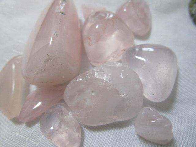 M 낢܂Ƃ߂ 800g ʃZbg  F     sN  ̎ʐ^8